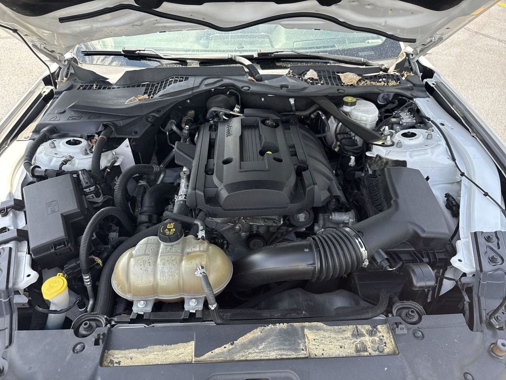 2019 Ford Mustang EcoBoost Premium